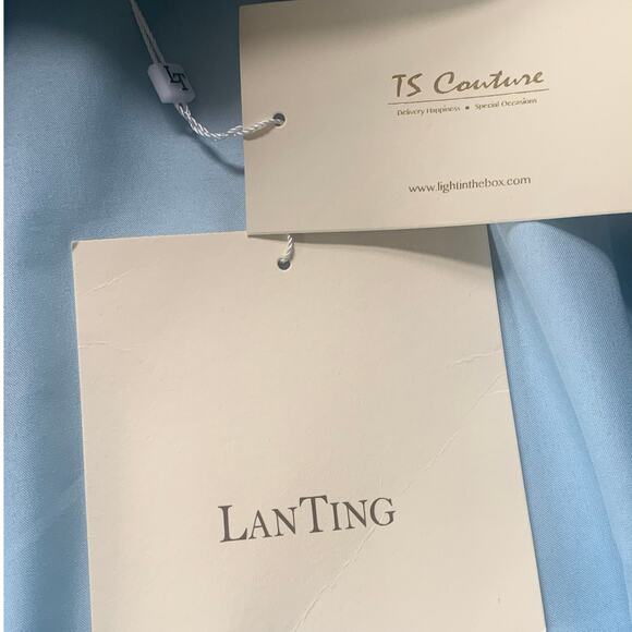 LanTing Brides Blue Short Formal Mother of the Bride Dress XL New with tags - Picture 7 of 10